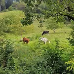 Im Gruenen