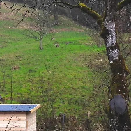 Im Grunen Altstätten