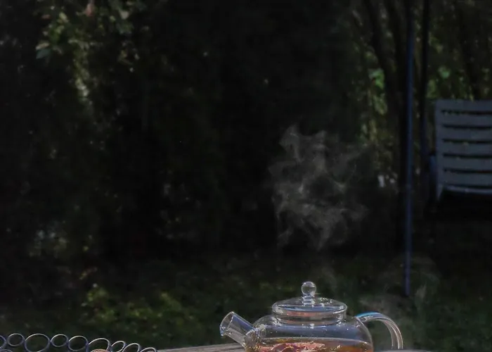 Im Gruenen Apartment Altstätten