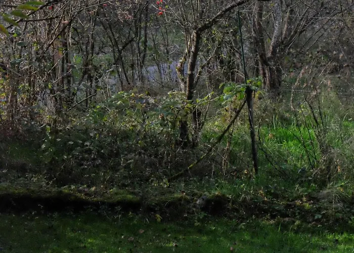 アパート Im Gruenen *