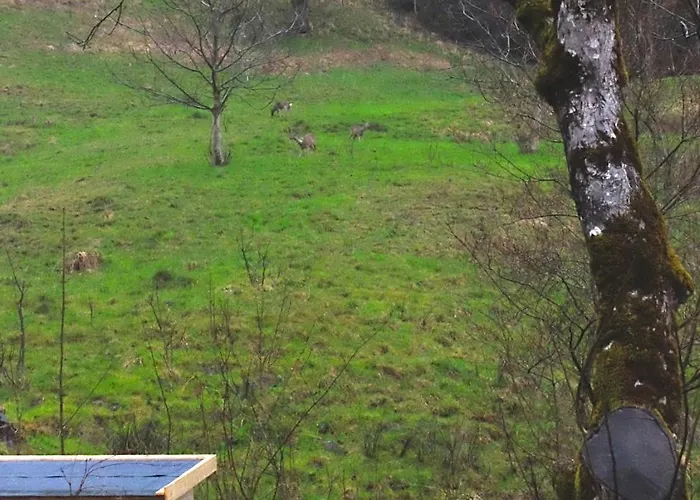 Im Gruenen アルトシュテッテン